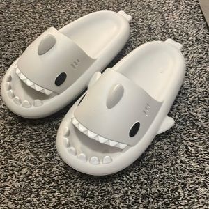 Shark Slides, hasn’t been used outdoors.